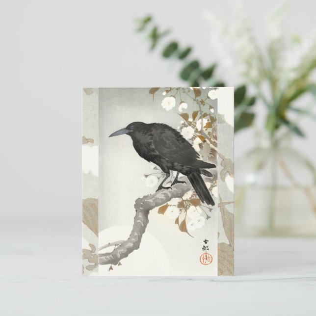 Corvo Koson Japonês Pássaro Corvo (Em pé/Frente)