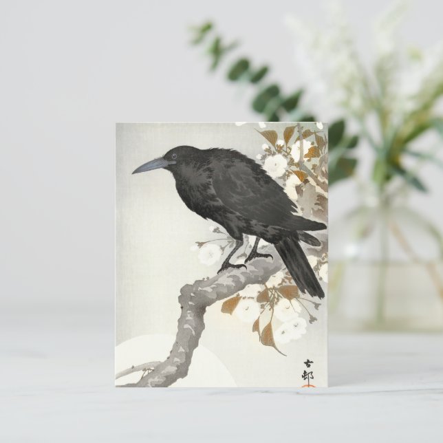 Corvo Koson Japonês Pássaro Corvo (Em pé/Frente)