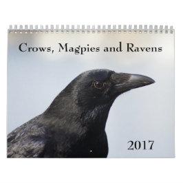 Corvos, Magpies e Ravens Calendário 2017