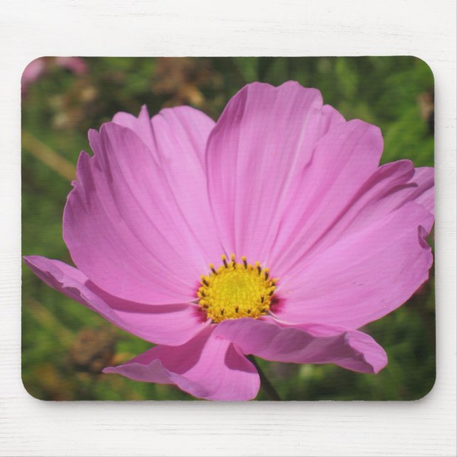 Cosmo cor-de-rosa Mousepad (Frente)