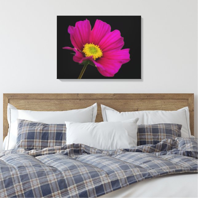 Cosmos Flower Canvas Print (Insitu(Quarto))