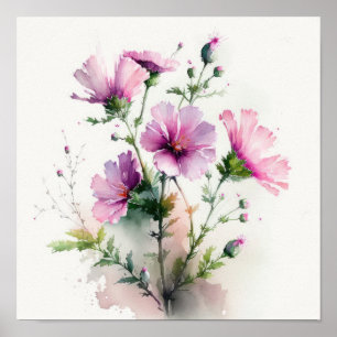 Cosmos Rosa Flores Impressão