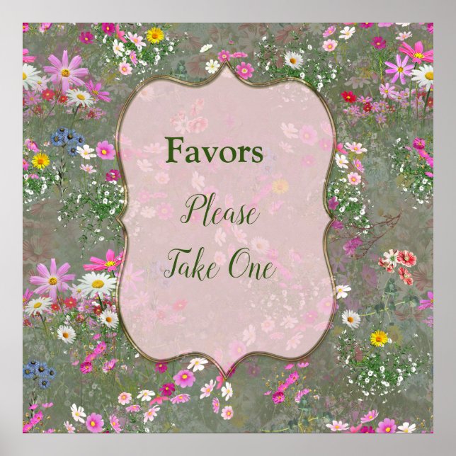 Cosmos Wilderness Wilderness Poster (Frente)