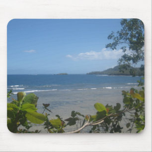 Costa Mousepad do Fijian