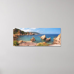Costa rochosa vermelha do impressão das canvas de