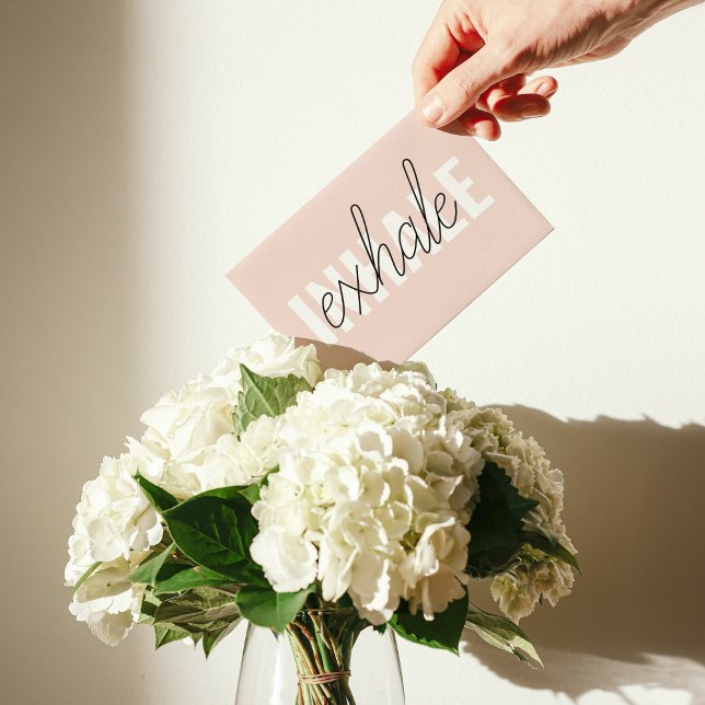 Cota de Exalar Rosa Moderno do Pastel (Criador carregado)