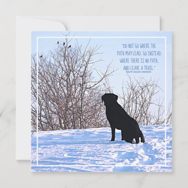 Cotação Motivacional - Citação da Vida Inspiracion (Frente)