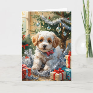 Coton De Tulear Cartão De Voto De Cachorro
