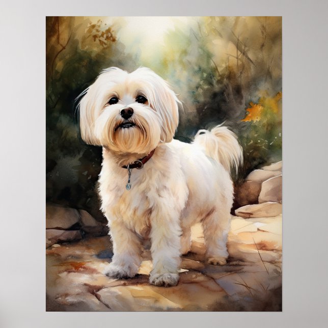 Coton De Tulear Dog Art Impressão (Frente)