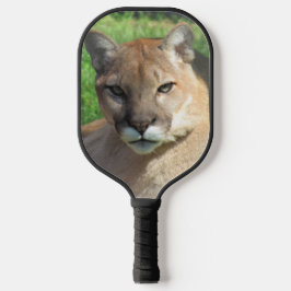 Cougar / Puma / Pickleball Pickleball Flórida