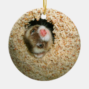 Couro cru - e - ornamento de Pauley da busca