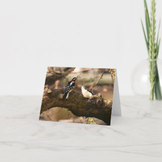 "Courtship" (Downy Woodpeckers) - Cartão de Nota d