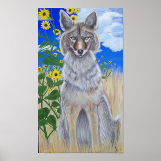 Coyote Poster