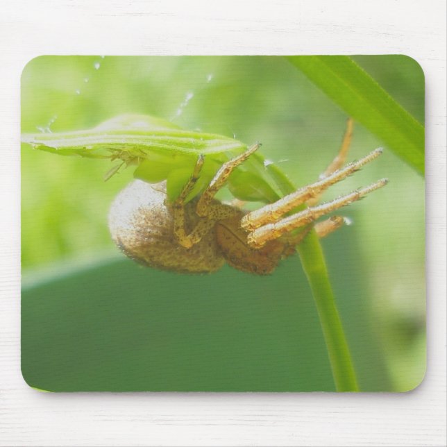 Crab Spider Thomisid Mousepad (Frente)