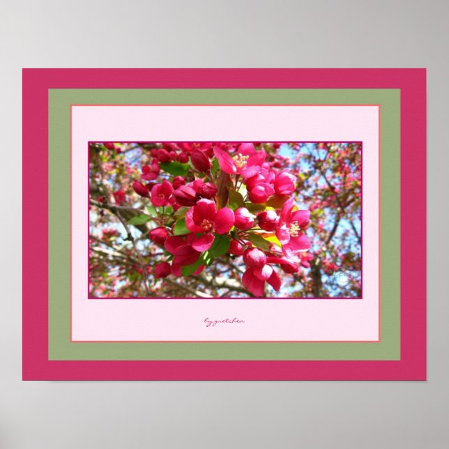 Crabapple Blossoms 2 Foto Poster por gretchen (Frente)