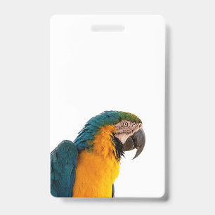 Crachá Arara azul papagaio 