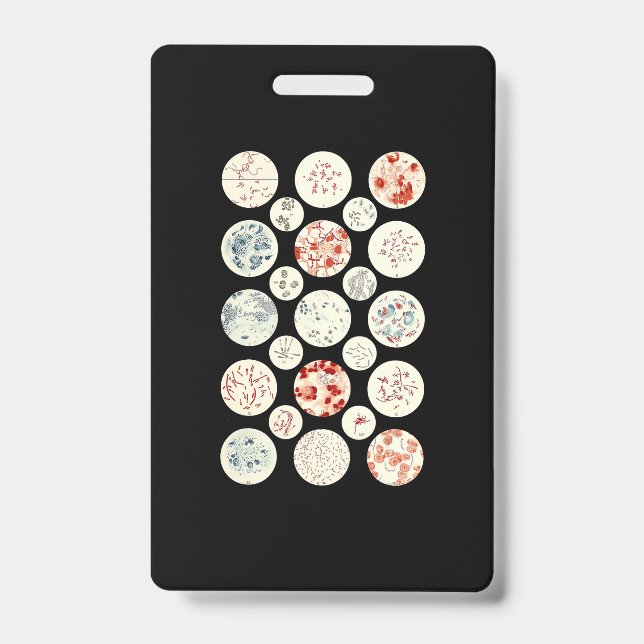 Crachá bactérias engraçado microbiologia bactérias ciênci (Frente)