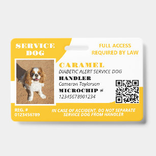 Crachá Cachorro de Serviço Branco Amarelo Código QR de Id