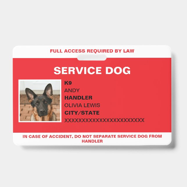 Crachá Cachorro de Serviço de Identificação Fotográfica P (Frente)