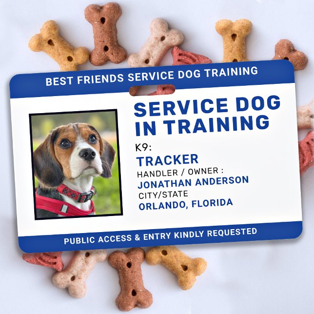Crachá Cachorro de Serviço em Treinamento ID Azul Foto Pe (Criador carregado)