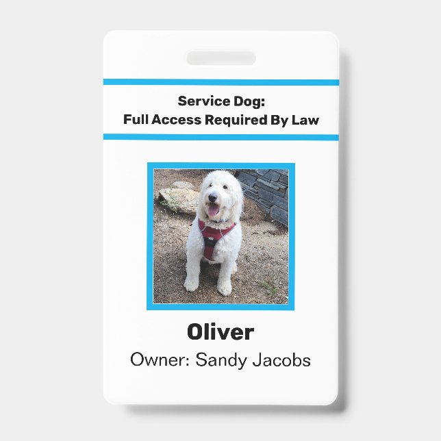 Crachá Cachorro de Serviço Personalizado ID Oficial Foto  (Frente)