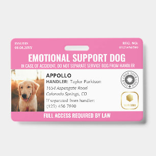Crachá Cachorro de Serviço Rosa 2 Logotipo & ID Foto