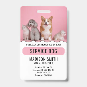 Crachá Cachorro do Serviço Branco Personalizado