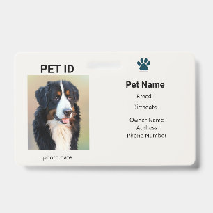 Crachá Cachorro Perdido   Informações da Placa de Identif