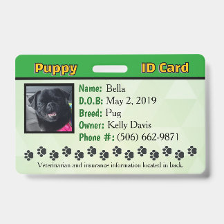 Crachá Cartão de identificação de cachorro - Verde