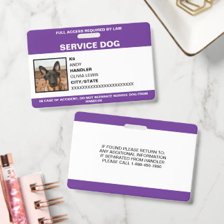 Crachá Cartão de Identificação Personalizado Ada para Cão
