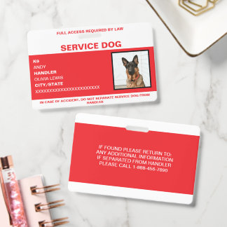 Crachá Cartão de Identificação Personalizado Ada para Cão