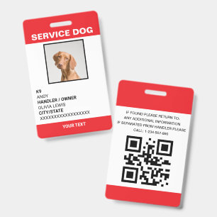 Crachá Cartão Personalizado Ada Cão de Serviço Foto ID