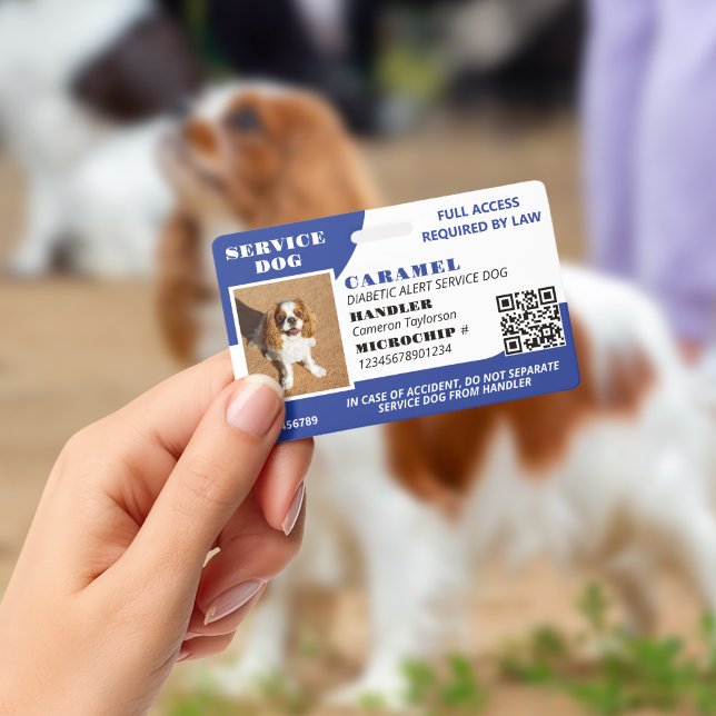 Crachá Código QR de ID de Foto do Cão Branco Azul (Criador carregado)
