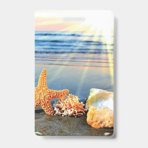Crachá Conchas marinhas e estrelas-do-mar na praia