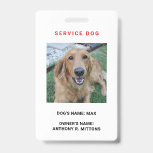 Crachá de ID do Service Dog