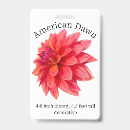 Crachá de Identificação de Dahlia da Manhã America