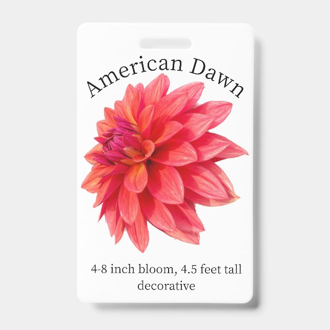 Crachá de Identificação de Dahlia da Manhã America (Frente)