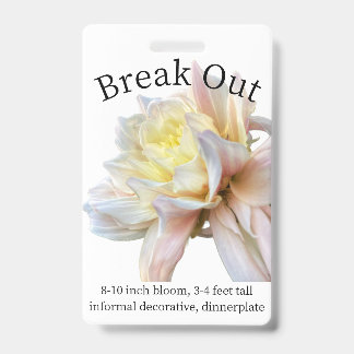 Crachá de Identificação de Dahlia para destacar