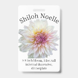 Crachá de Identificação Shiloh Noelle Dahlia