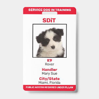 Crachá de informações do Florida SDiT (Service Dog