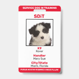 Crachá de informações SDiT (Cão de Serviço em Trei