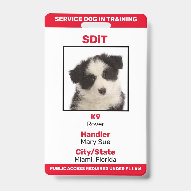 Crachá de informações SDiT (Cão de Serviço em Trei (Frente)