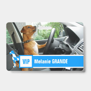 Crachá do Great Dane