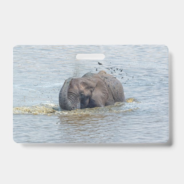 Crachá Elefante de banho (Frente)