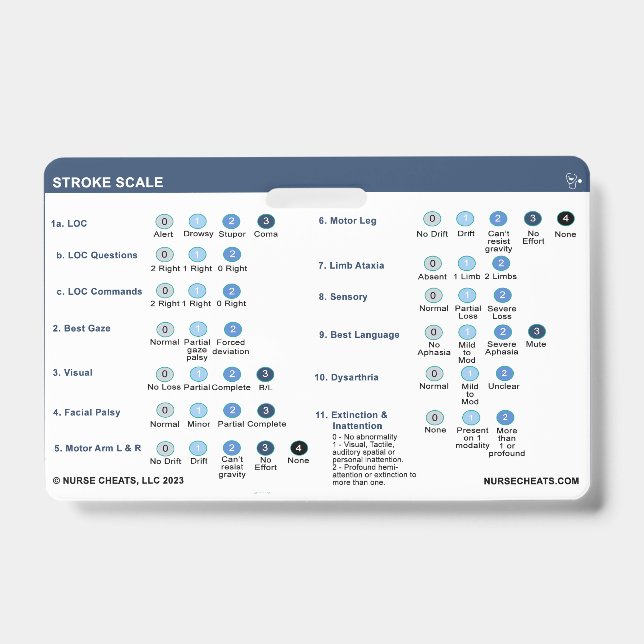 CRACHÁ ESCALA DE ROLOS (Frente)