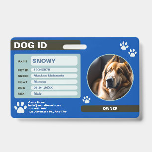 Crachá Etiqueta de ID de Cachorro Moderno Verde Azul: Sim