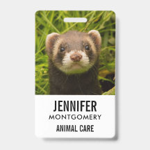 Ferreto castanho-bonito na grama