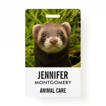 Ferreto castanho-bonito na grama