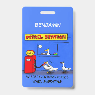 Crachá Gaivotas engraçadas petrel cartoon humor