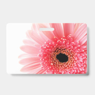Crachá Gerbera Daisy Poster